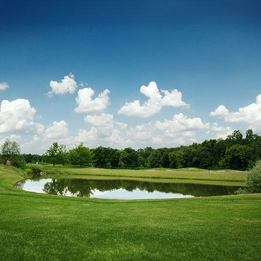 Large landscaped pond surrounded by grass and trees under a blue sky