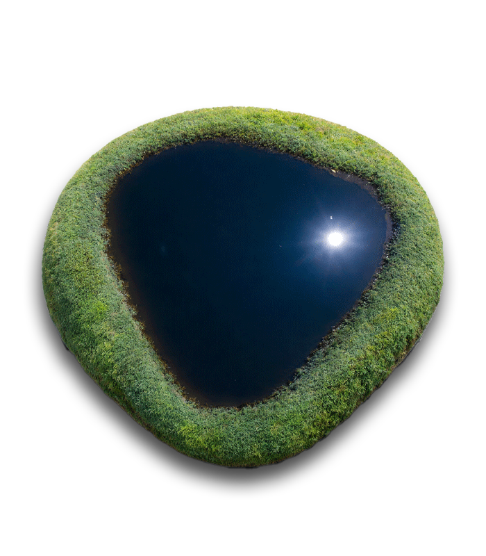 Small natural pond surrounded by grass viewed from above